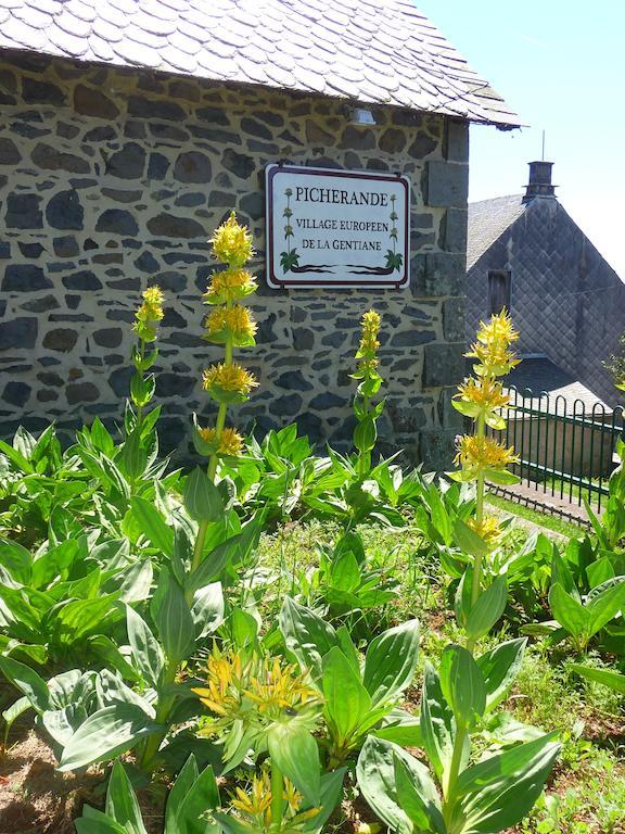 Aparthotel Aux Balcons Du Sancy Picherande Exterior foto